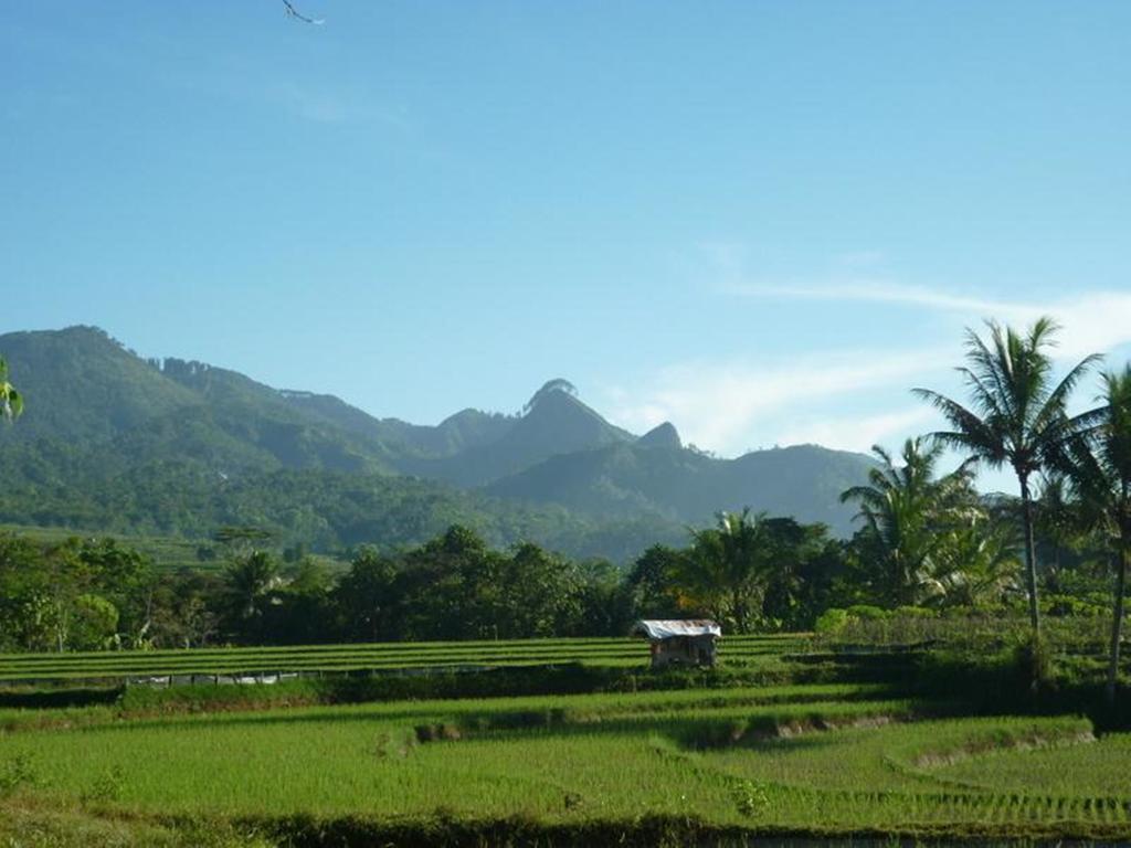 Villa Sumbing Indah Magelang Extérieur photo