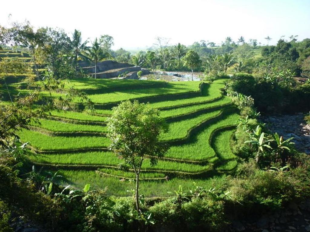 Villa Sumbing Indah Magelang Extérieur photo