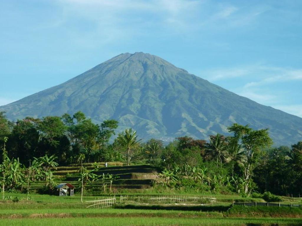 Villa Sumbing Indah Magelang Extérieur photo